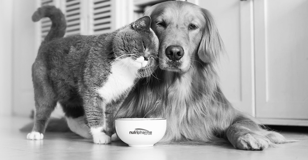 Nutripharme Saude Animal