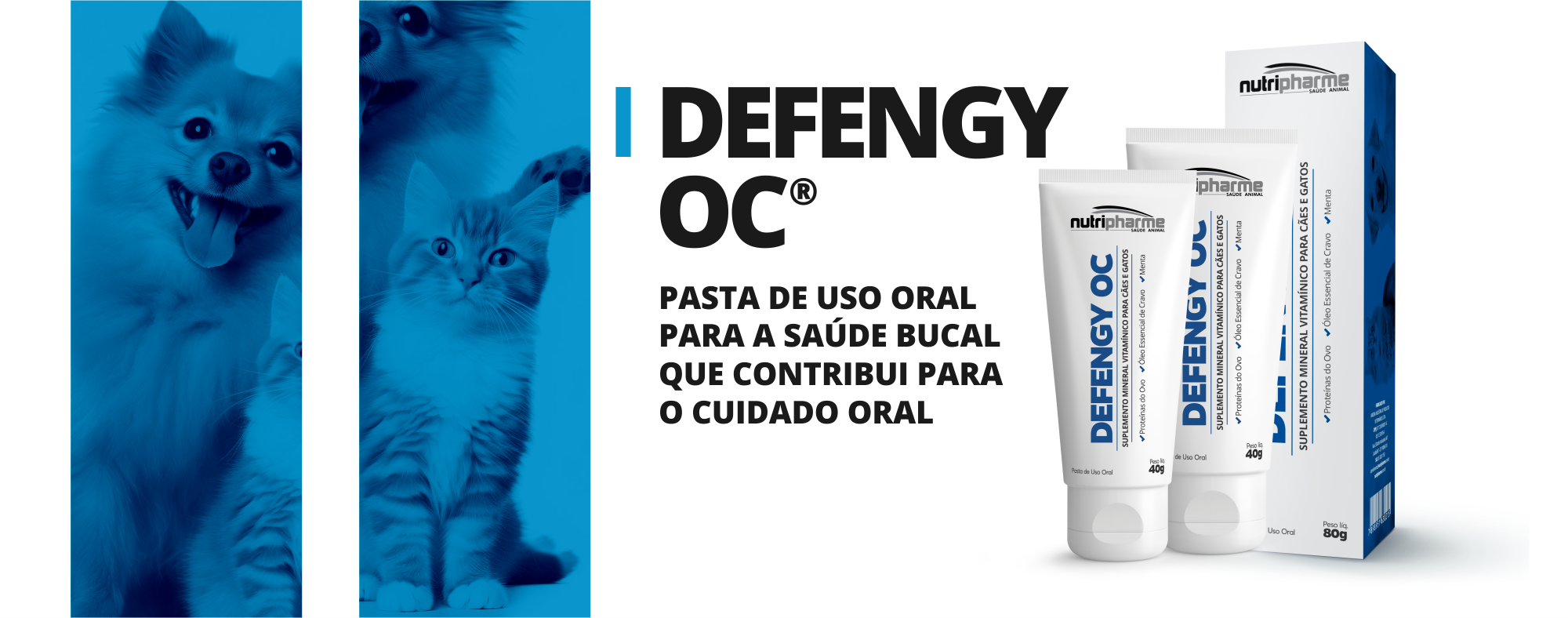 BANNER DEFENGY