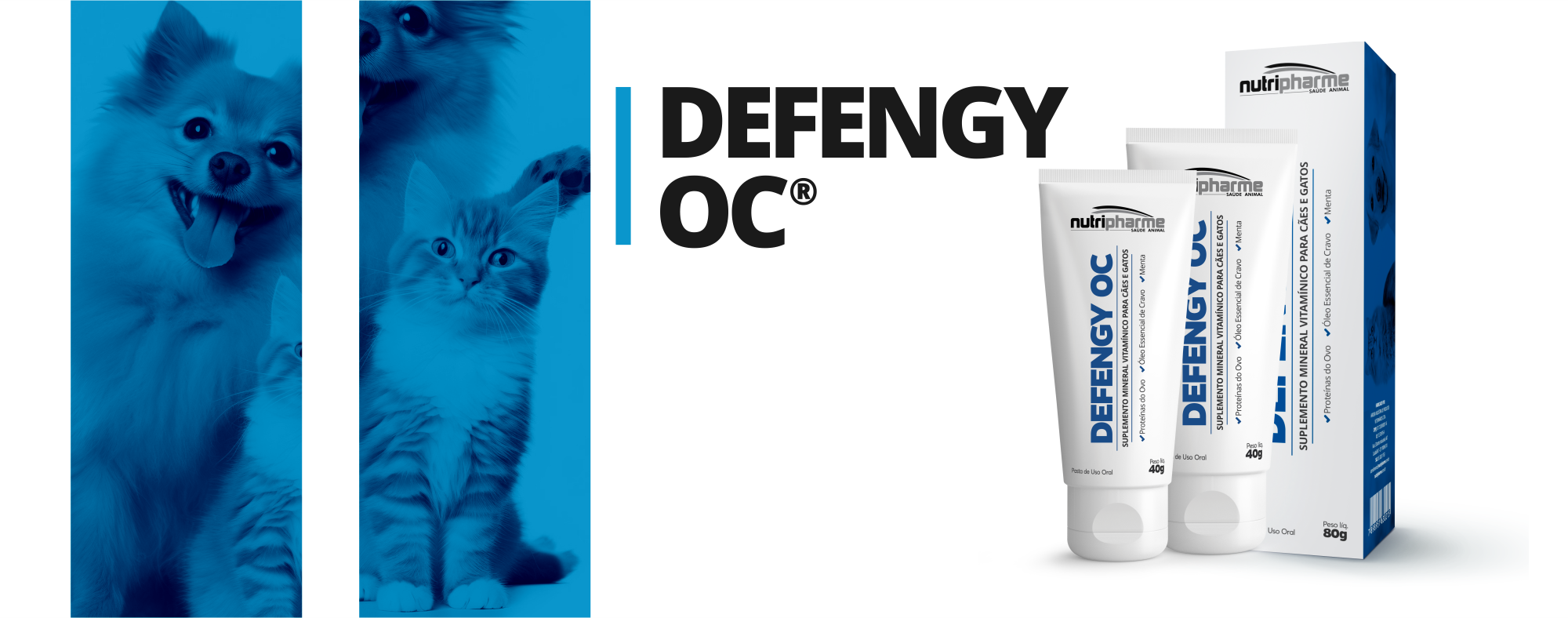BANNER DEFENGY