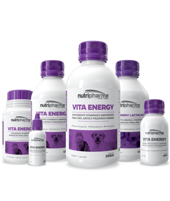 VITA ENERGY SUPLEMENTO VITAMÍNICO AMINOÁCIDO