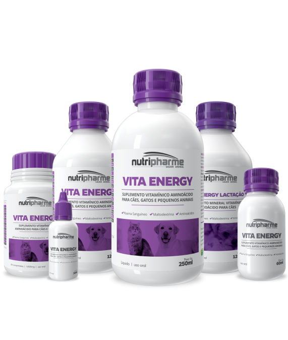 VITA ENERGY SUPLEMENTO VITAMÍNICO AMINOÁCIDO